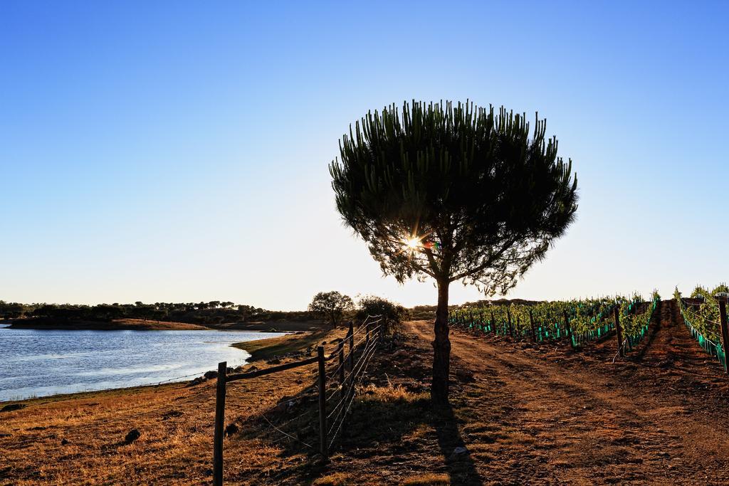 Herdade Da Calada Azaruja Dış mekan fotoğraf