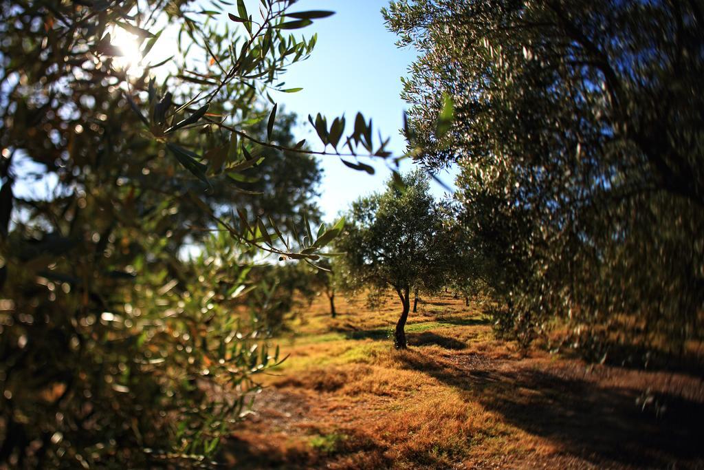Herdade Da Calada Azaruja Dış mekan fotoğraf