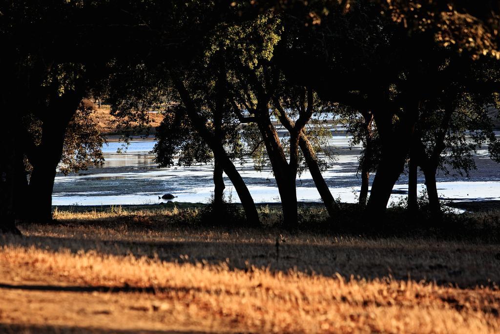Herdade Da Calada Azaruja Dış mekan fotoğraf